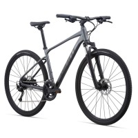 Велосипед городской Giant Roam 2 Disc (2021)