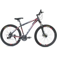 Горный велосипед AXIS 29 MD (2021)