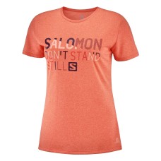 Salomon футболка женская Comet classic
