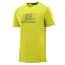 Salomon футболка мужская Blend logo