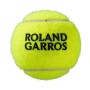Мячи теннисные Wilson RG Clay x4 - (18б)