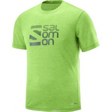 Salomon  футболка мужская Explore graphic