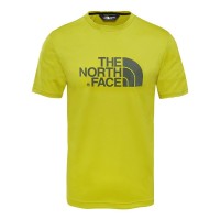 The North Face  футболка мужская Tanken