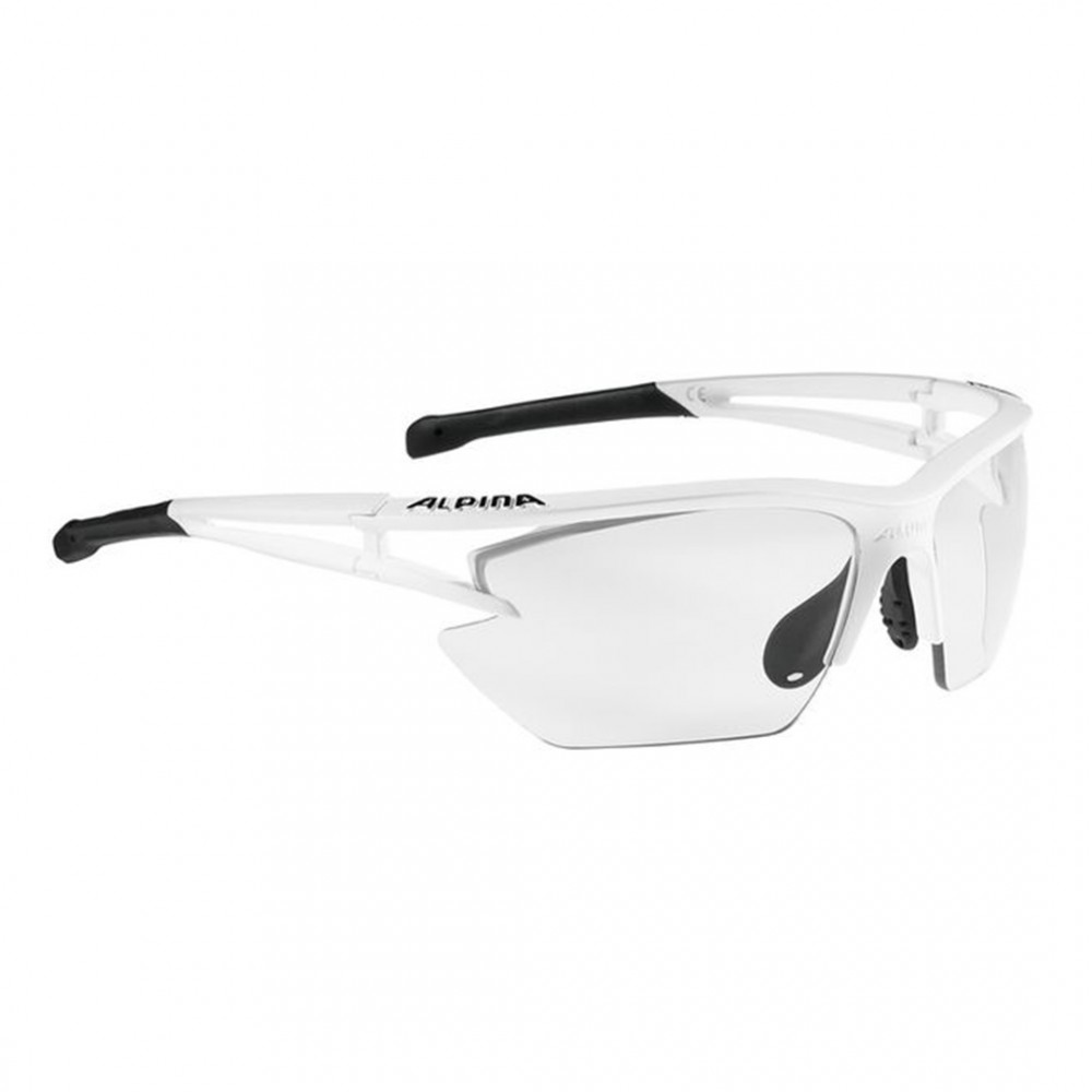 Alpina  очки Alpina Eye-5 HR S VL+