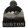 Burton  шапка подростковая Echo Lake