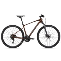 Велосипед Giant Roam 2 Disc (2022) Hematite