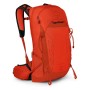 Купить Рюкзак Osprey Talon Pro 20