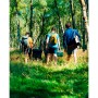 Термо-холодильник Stanley Adventure Outdoor Cooler 28.3L