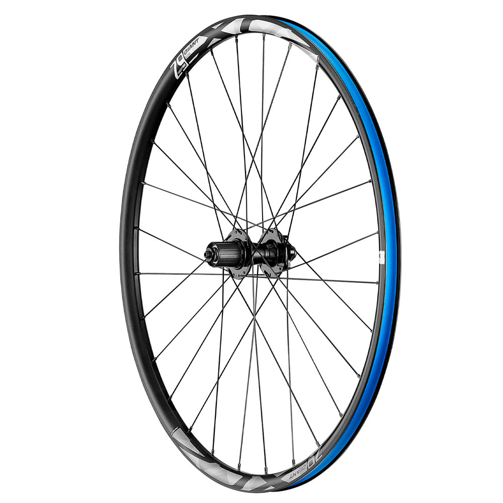 Колесо заднее Giant PR 2 Disc QR RW 700X28H