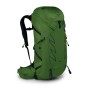 Купить Рюкзак Osprey Talon 36