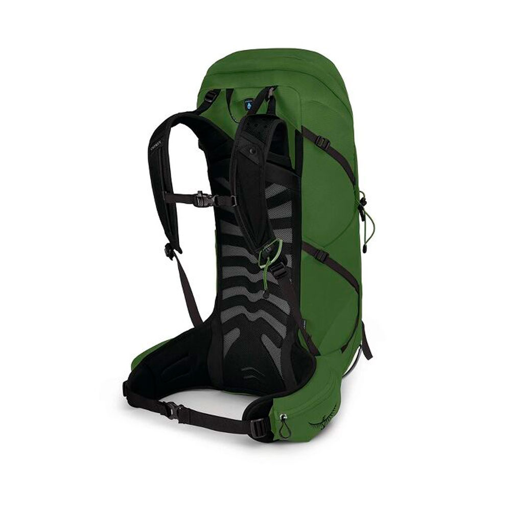 Купить Рюкзак Osprey Talon 36