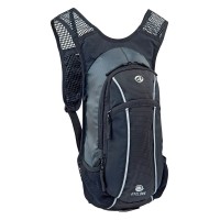 Купить  Рюкзак Author Back pack A-B Cyclone GSB X7