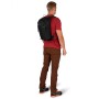 Купить Рюкзак Osprey Sportlite 15
