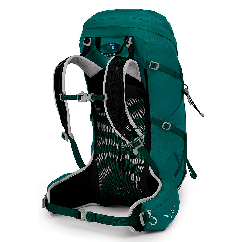 Купить Рюкзак Osprey Tempest 34
