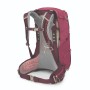Купить Рюкзак Osprey Sirrius 24