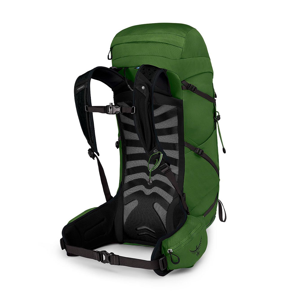 Купить Рюкзак Osprey Talon 33